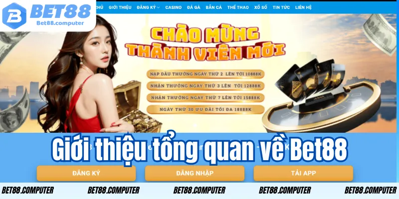 Giới thiệu tổng quan về Bet88